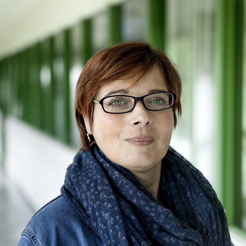 Stroom maatwerk - Ilse Platteau