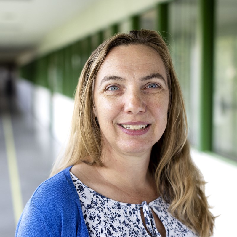 Stroom maatwerk - Veerle Barbier